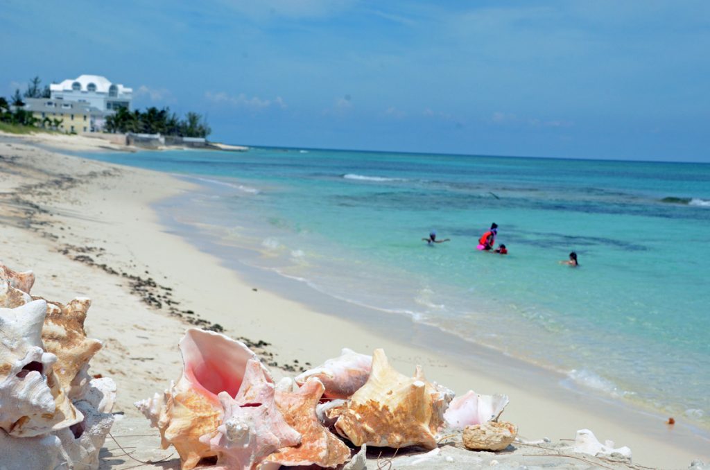 Bahamas Strand mit Muscheln